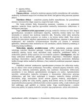 Valstybės mokesčių sistemos formavimo ypatumai 3 puslapis