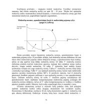 Valstybės mokesčių sistemos formavimo ypatumai 7 puslapis