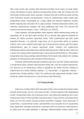 Vartotojų reakcija į vieningos Europos sąjungos valiutos įvedimą 12 puslapis