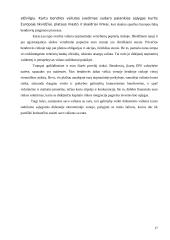Vartotojų reakcija į vieningos Europos sąjungos valiutos įvedimą 17 puslapis