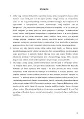 Vartotojų reakcija į vieningos Europos sąjungos valiutos įvedimą 18 puslapis