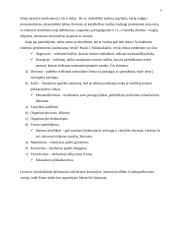 Verslo etikos problemos privačioje įmonėje 5 puslapis