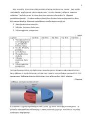 Verslo etikos problemos privačioje įmonėje 6 puslapis