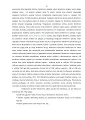 Verslo kūrimo formos 10 puslapis