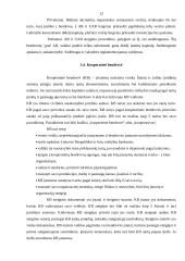 Verslo kūrimo formos 11 puslapis