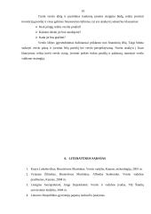 Verslo kūrimo formos 18 puslapis