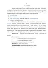 Verslo kūrimo formos 2 puslapis