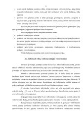 Verslo kūrimo formos 5 puslapis