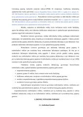 Verslo kūrimo formos 6 puslapis