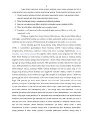 Verslo kūrimo formos 8 puslapis