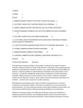 Viešojo administravimo gebėjimai