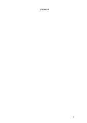 Verslo planas: kečiupų gamyba AB "Pomidoro" 2 puslapis