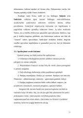 Verslo planas: kečiupų gamyba AB "Pomidoro" 11 puslapis