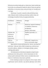 Verslo planas: kečiupų gamyba AB "Pomidoro" 12 puslapis