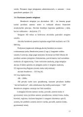 Verslo planas: kečiupų gamyba AB "Pomidoro" 13 puslapis