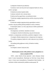 Verslo planas: kečiupų gamyba AB "Pomidoro" 14 puslapis