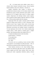 Verslo planas: kečiupų gamyba AB "Pomidoro" 15 puslapis