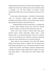 Verslo planas: kečiupų gamyba AB "Pomidoro" 16 puslapis