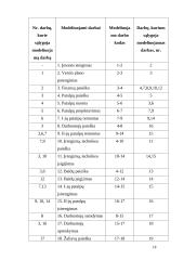 Verslo planas: kečiupų gamyba AB "Pomidoro" 18 puslapis