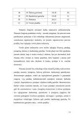 Verslo planas: kečiupų gamyba AB "Pomidoro" 19 puslapis