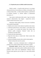 Verslo planas: kečiupų gamyba AB "Pomidoro" 20 puslapis