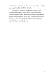 Verslo planas: kečiupų gamyba AB "Pomidoro" 4 puslapis