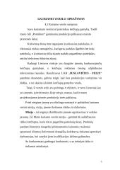 Verslo planas: kečiupų gamyba AB "Pomidoro" 5 puslapis