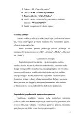 Verslo planas: kečiupų gamyba AB "Pomidoro" 8 puslapis