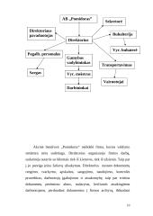 Verslo planas: kečiupų gamyba AB "Pomidoro" 10 puslapis