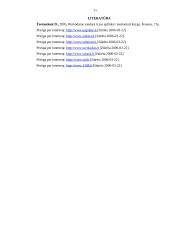 Verslo planas: soliariumų paslaugos 11 puslapis