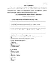 Verslo planas: soliariumų paslaugos 13 puslapis