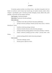 Verslo planas: soliariumų paslaugos 3 puslapis