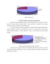 Verslo planas: soliariumų paslaugos 6 puslapis