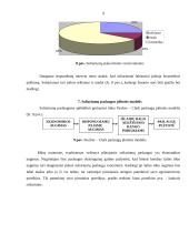 Verslo planas: soliariumų paslaugos 9 puslapis