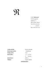 Verslo planas: turizmo agentūra UAB "Robinzonai" 2 puslapis