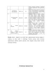 Verslo planas: turizmo agentūra UAB "Robinzonai" 11 puslapis