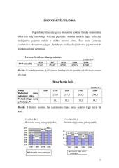 Verslo planas: turizmo agentūra UAB "Robinzonai" 13 puslapis