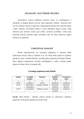 Verslo planas: turizmo agentūra UAB "Robinzonai" 16 puslapis