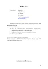 Verslo planas: turizmo agentūra UAB "Robinzonai" 17 puslapis