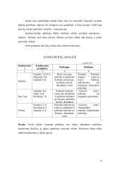 Verslo planas: turizmo agentūra UAB "Robinzonai" 18 puslapis