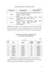 Verslo planas: turizmo agentūra UAB "Robinzonai" 19 puslapis