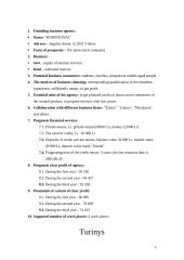 Verslo planas: turizmo agentūra UAB "Robinzonai" 4 puslapis