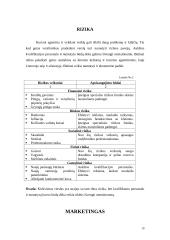 Verslo planas: turizmo agentūra UAB "Robinzonai" 8 puslapis