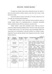 Verslo planas: turizmo agentūra UAB "Robinzonai" 10 puslapis