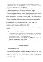 Verslo planas: ungurių auginimas UAB "Ungurys" 11 puslapis