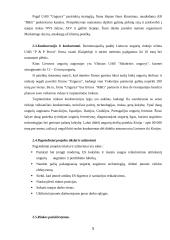 Verslo planas: ungurių auginimas UAB "Ungurys" 5 puslapis