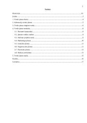 Kas yra verslo planas ir kaip jį reiktų parengti? 2 puslapis