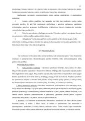 Kas yra verslo planas ir kaip jį reiktų parengti? 12 puslapis