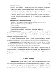 Kas yra verslo planas ir kaip jį reiktų parengti? 13 puslapis