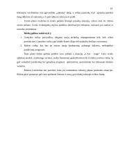 Kas yra verslo planas ir kaip jį reiktų parengti? 14 puslapis